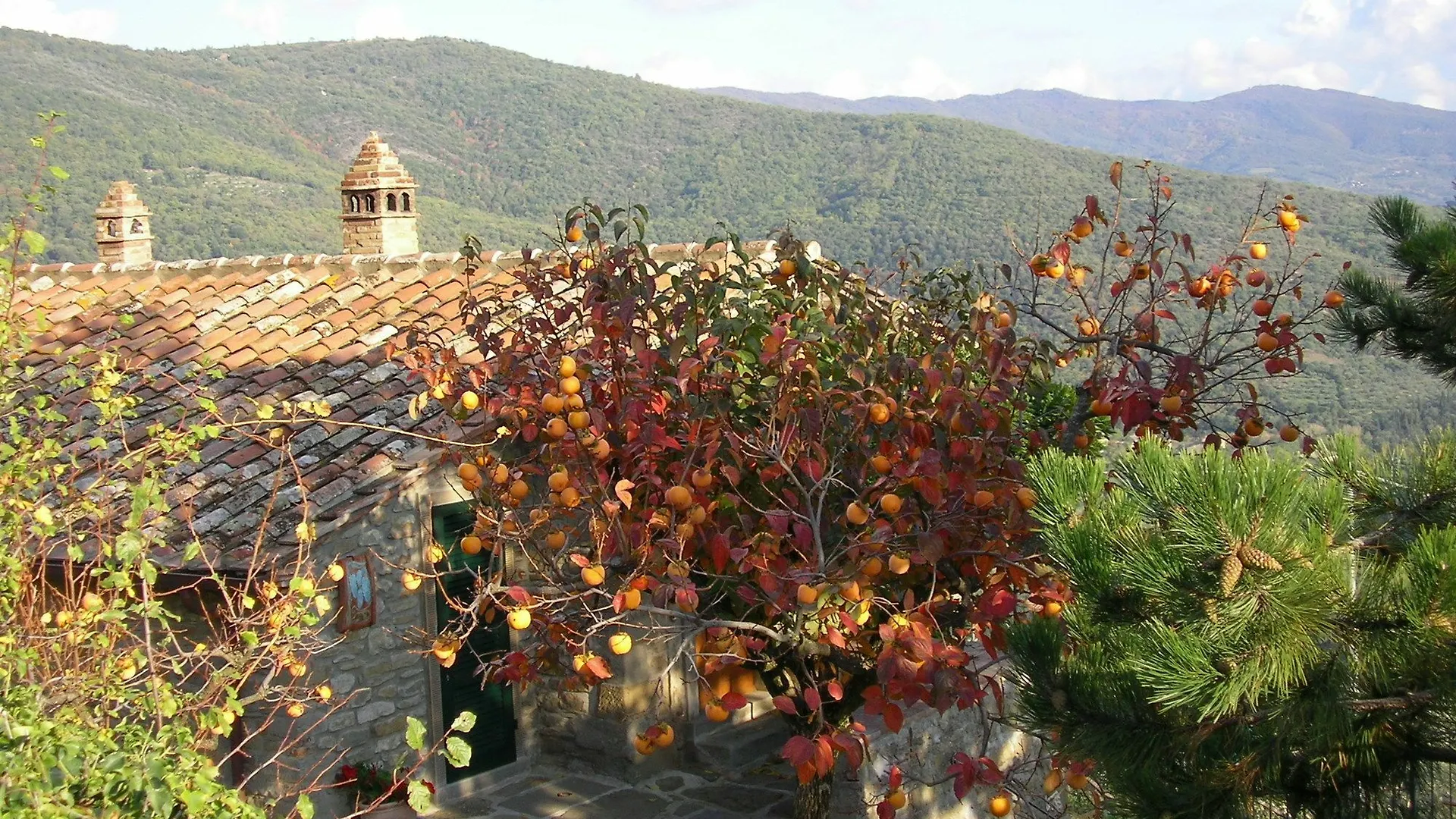 Casale Della Torre Villa Cortona