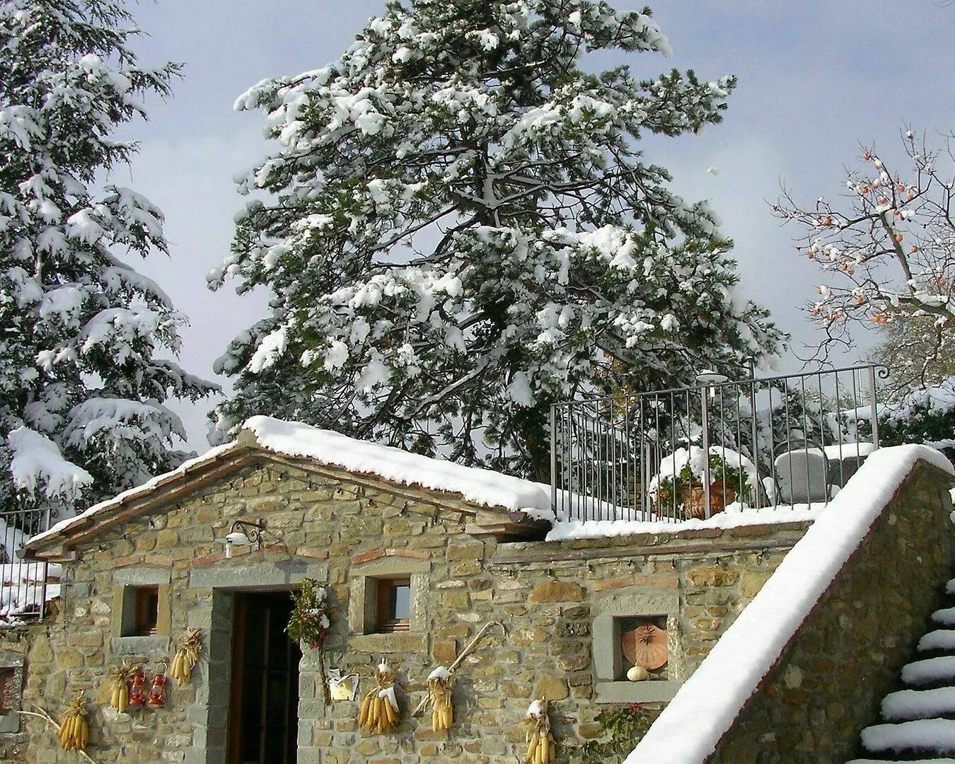 Casale Della Torre Villa Cortona 0*,